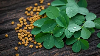 Methi Adds Comfort, Aroma And Desi Depth