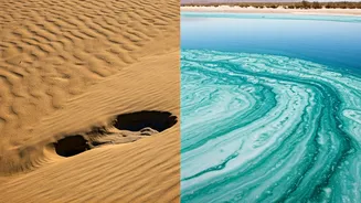 Related Stories banner