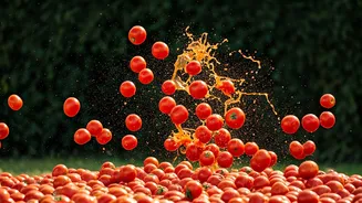 Delhi-NCR's 'La Tomatina' Event Sparks Fierce Debate Over Food Waste and Event Safety