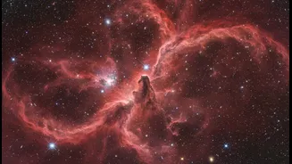 Hubble's Crimson Nebula Brings Star Birth Into Focus