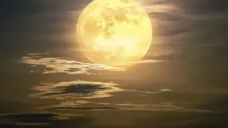 Harvest Moon 2026: How Weather And Light Pollution Could Affect Viewing