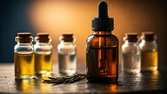 5 Best Oils to Amplify Castor Oil for Luscious Eyebrows