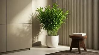 Indoor Zen Corners Featuring Bamboo Redefine Small Indian Apartment Interiors