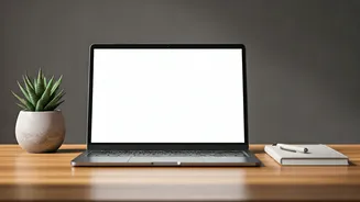 More Professionals Say No To Burnout