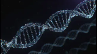 A Large Biomedical Publication Study: The Bigger Story Behind A 70,000-preprint Analysis