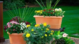 How Terracotta Olla Irrigation Containers Provide Slow-Release Water Hydration For Balcony Plants