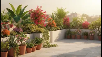 These Terrace Plants Stay Healthy While Helping Reduce Rooftop Heat Build-Up