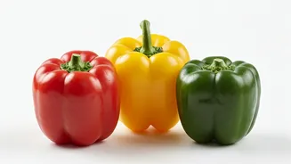 Beyond the Hue: Unlocking the Nutritional Secrets of Red, Yellow, and Green Bell Peppers