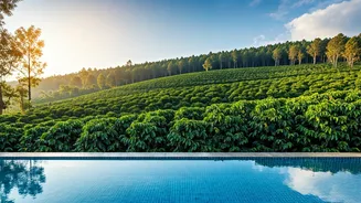 Coorg Honeymoons Are Getting A Plantation Glow-Up