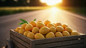 Why Hundreds Of Organic Farmers Bring Mangoes To Delhi