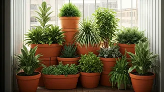 Vertical Terracotta Planters Upgrade Tight Balcony Gardening Layouts