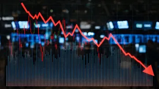 Indian Stock Market: A Day of Sharp Declines
