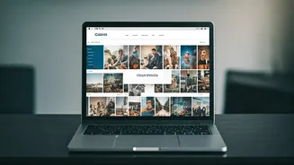 Ditch Word Resumes For Public Digital Portfolios Online