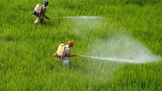 India weighing restrictions on highly toxic carbosulfan with August deadline