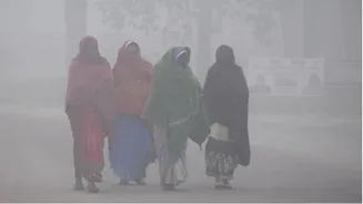 Weather update: Orange alert for severe cold wave in MP; heavy rains expected in Tamil Nadu