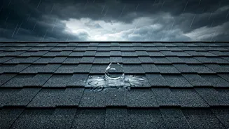 Leaky Roof? Fix It Before Monsoon Hits Hard