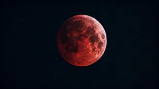 Related Stories banner