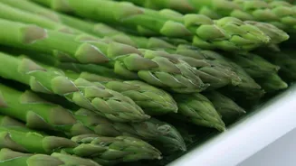 Stalk vegetables every vegetarian must have