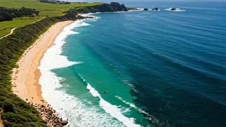 Sydney's Seaside Gems: Discover 12 Stunning Beaches for Every Occasion