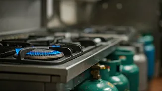Delhi's Eateries Under Pressure: Adapting to Soaring LPG Costs