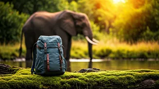 New Wildlife Stays Are Pulling Young Travellers In