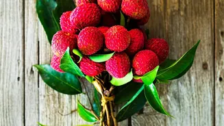 Lychees Do Not Ripen After Picking, So Select Them Carefully