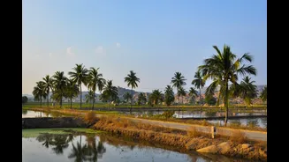 Karnataka Reservoirs at 57.6% Capacity Amid Live Monitoring