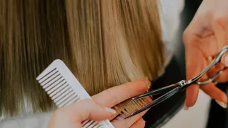 Adjusting Post-Monsoon Routines: Essential Trim Schedules To Eliminate Splitting End Damage