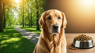 Lower Walks Mean Smarter Food Plans For Pets