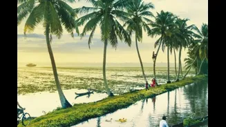 Kerala Is Among World’s Top Travel Destinations For 2026: 10 Must-Visit Places, 7-Day Itinerary For God’s Own Country