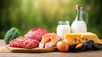 Unlocking the Wonders of Vitamin B12 and Its Uses