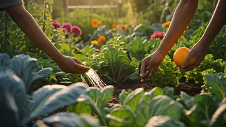 Learning To Go Green Starts Together