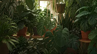 Indoor Plant Shopping Is No Longer Niche