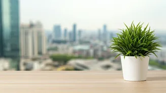 Mindfulness Is Moving Into Everyday Indian Schedules