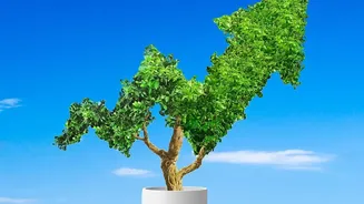 Why Low-Cost Index Funds Deliver Solid Portfolio Diversification For Tier 2 Gen Z Investors