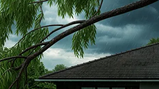 Monsoon Mess Starts When Pruning Gets Ignored