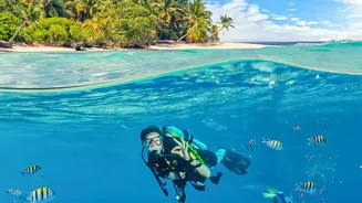 How Island Tourism Regulations In Lakshadweep Prevent Anchor Damage To Delicate Coral Reef Beds