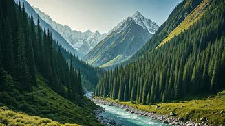 Forest-Core Travellers Are Heading To Tirthan Valley