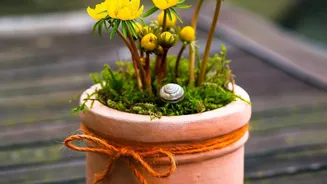 Terracotta Olla Pots Keep Balcony Garden Soil Balanced With Slow-Release Clay Hydration Systems