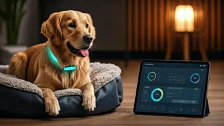Indian Pets Are Getting Their Own Wellness Plans