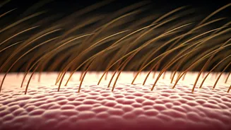 Unlocking Permanence: Is Hair Transplantation a Lasting Solution for Hair Loss?