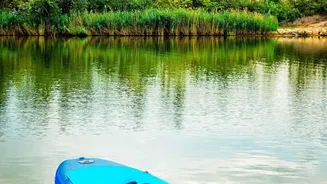 Choosing Between Kayaking And Paddleboarding? Consider Balance Demands For Beginners