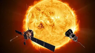 The Newly Seen Solar Plasma Wave Brings Fresh Clues About Solar Wave Behaviour