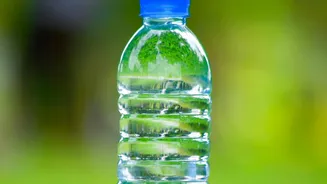 Microbes Rather Than Solvents Rebuild PET Carbon Into Protein-Rich Biomass