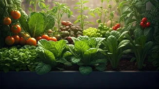 Related Stories banner