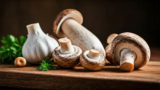 Try These Six Delicious Mushroom Dishes