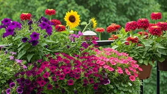 Attract Birds: Grow These 10 Balcony Blooms