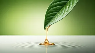 Revolutionary Plant-Based Serum Promises Rapid Hair Regrowth in Weeks