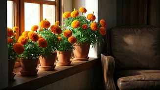How Native Marigold Styling Effortlessly Brightens Gloomy Rooms