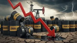 President Trump pauses US bombings on Iran, WTI toward $95